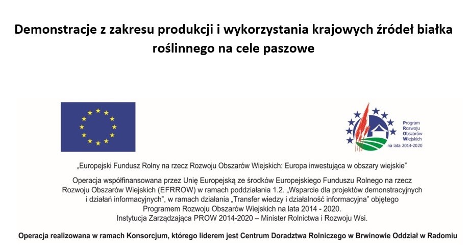 Informacja o projekcie