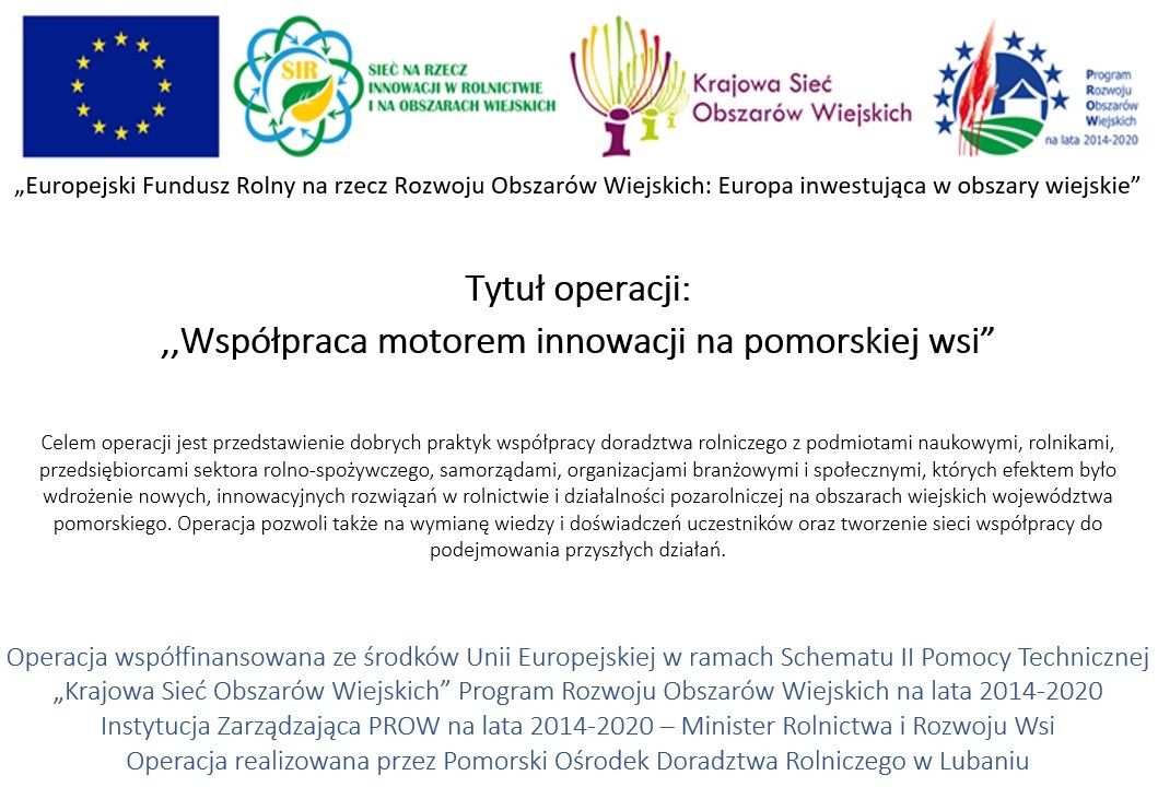 Informacja o projekcie