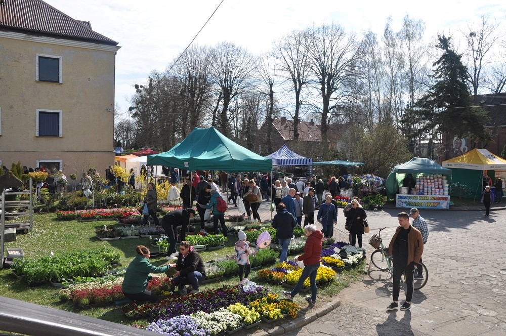 Stoiska wystawców na targach (1)