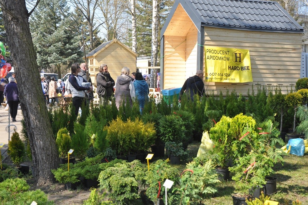 Stoiska wystawców na targach (12)