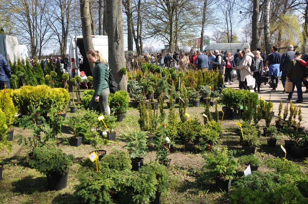 Stoiska wystawców na targach (13)