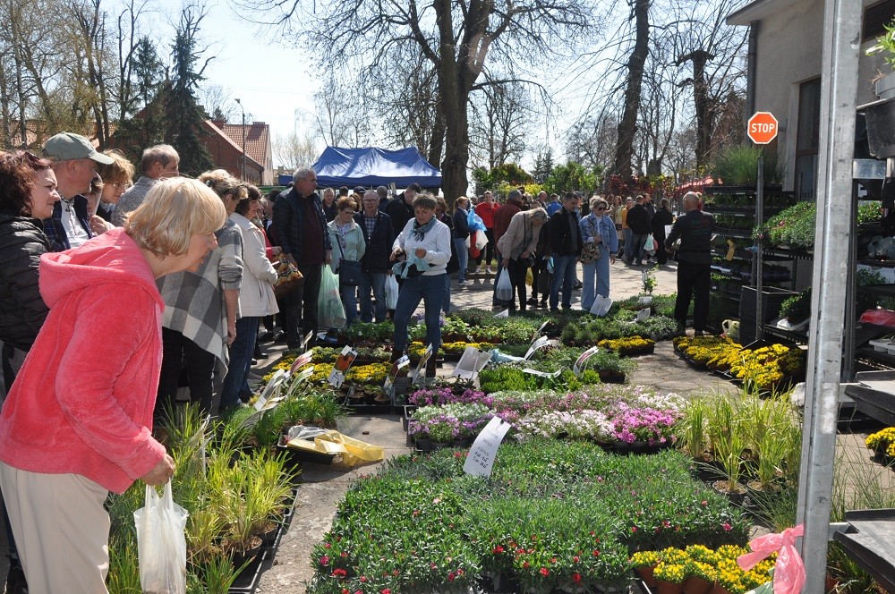 Stoiska wystawców na targach (16)