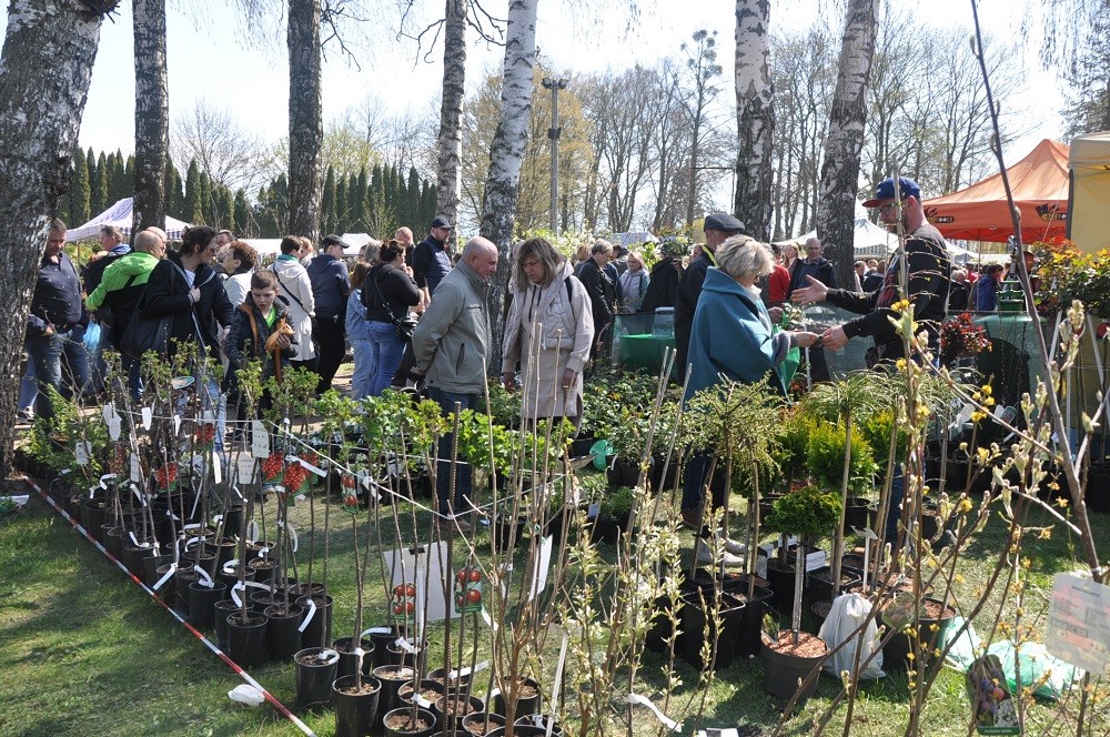 Stoiska wystawców na targach (6)