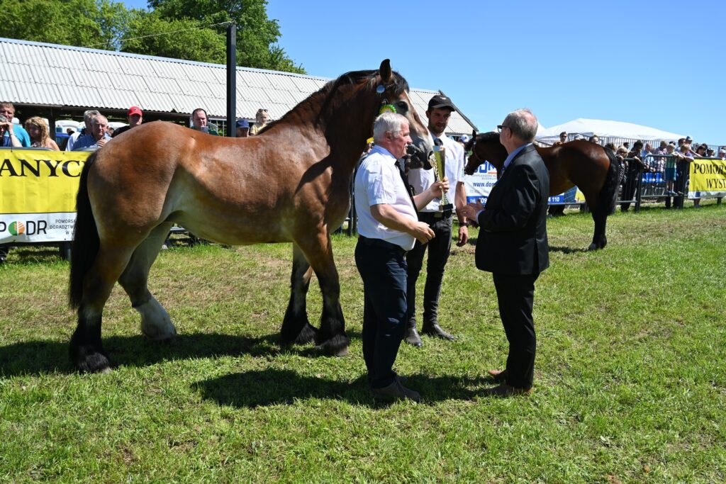 XXIX Pomorskie Agro-Targi w Lubaniu