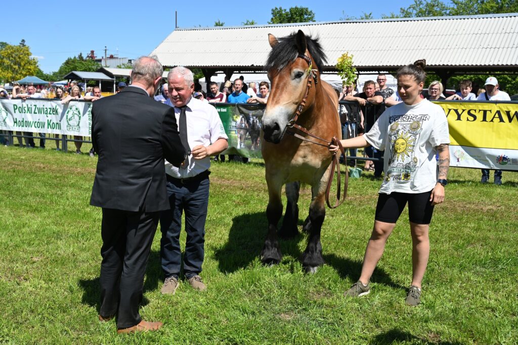 XXIX Pomorskie Agro-Targi w Lubaniu