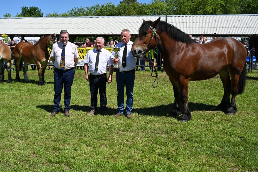 XXIX Pomorskie Agro-Targi w Lubaniu