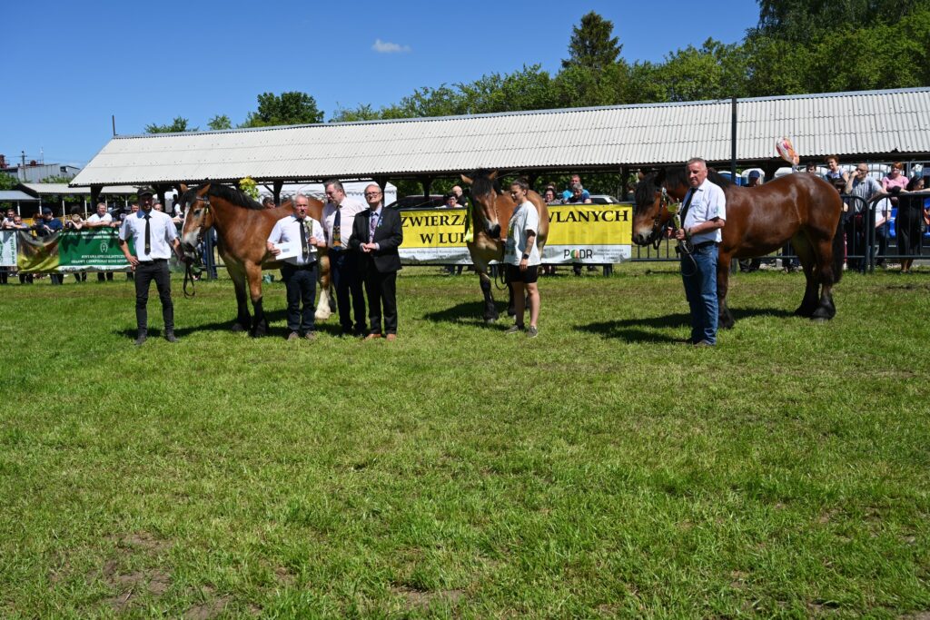 XXIX Pomorskie Agro-Targi w Lubaniu
