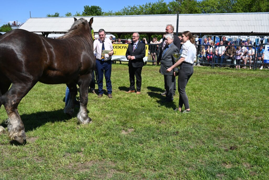 XXIX Pomorskie Agro-Targi w Lubaniu