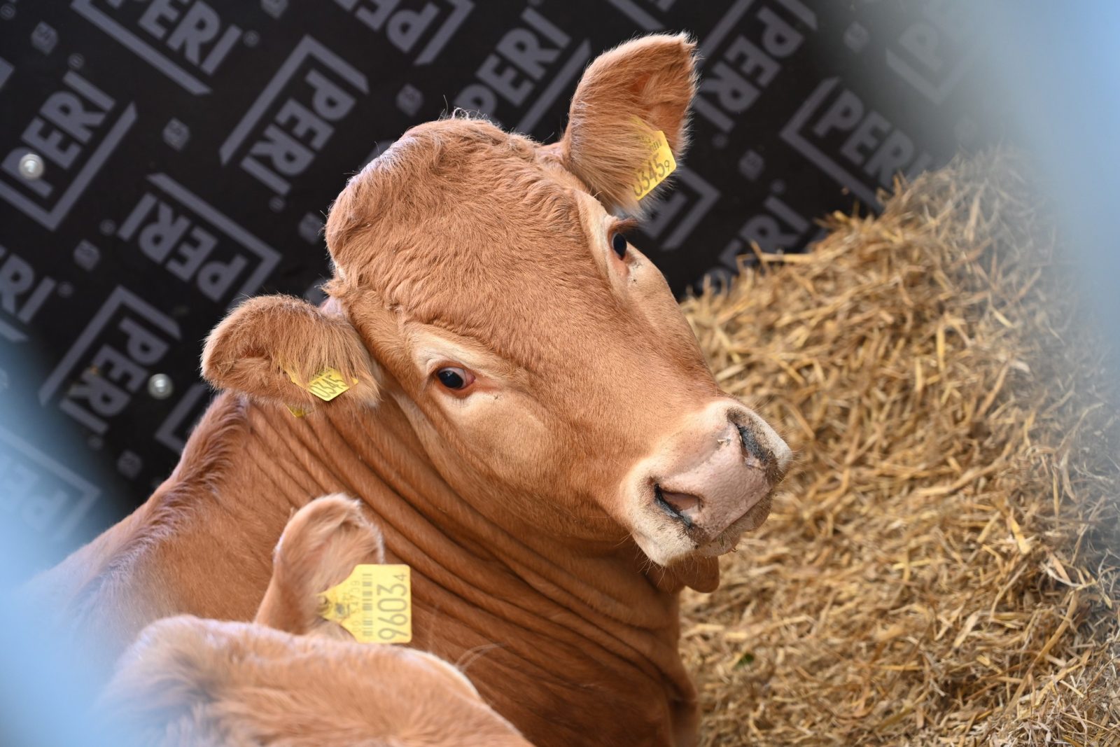 XXIX Pomorskie Agro-Targi w Lubaniu