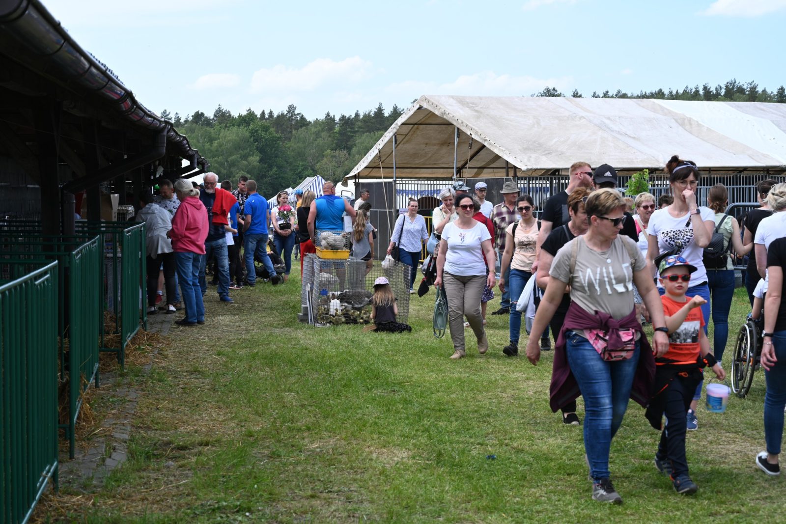 XXIX Pomorskie Agro-Targi w Lubaniu