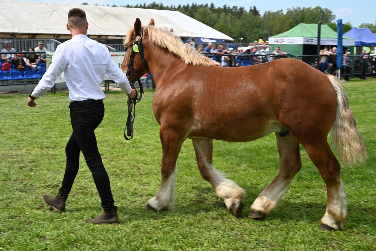 XXIX Pomorskie Agro-Targi w Lubaniu