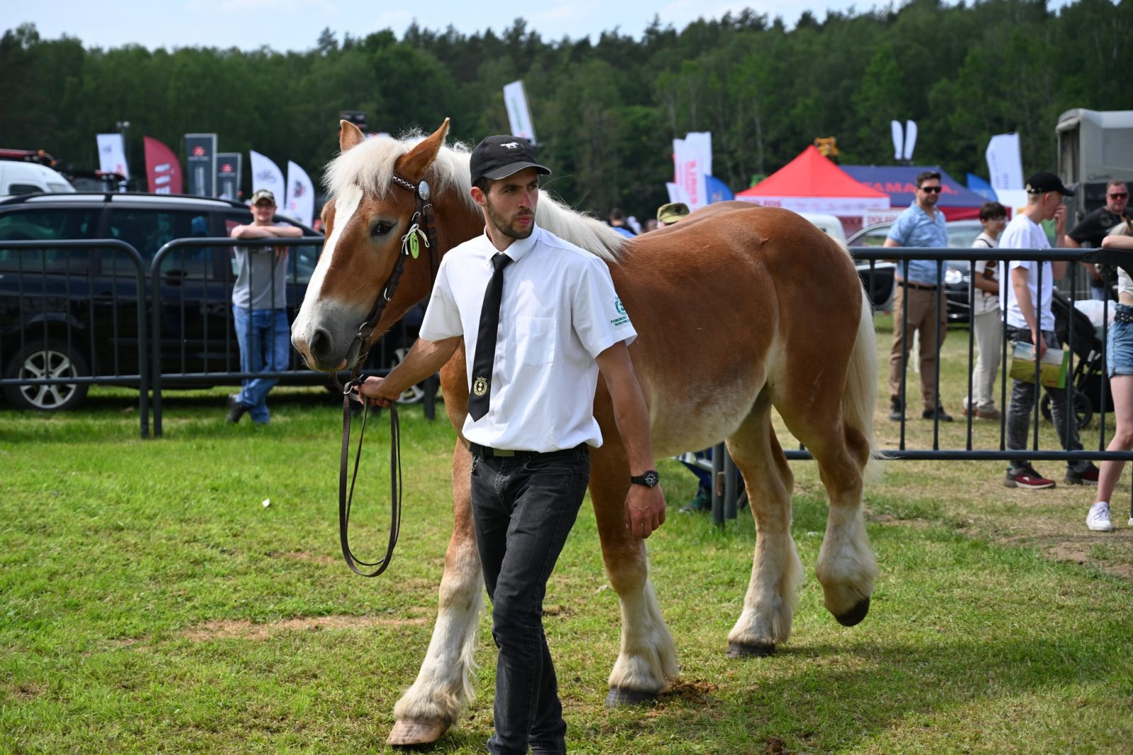XXIX Pomorskie Agro-Targi w Lubaniu