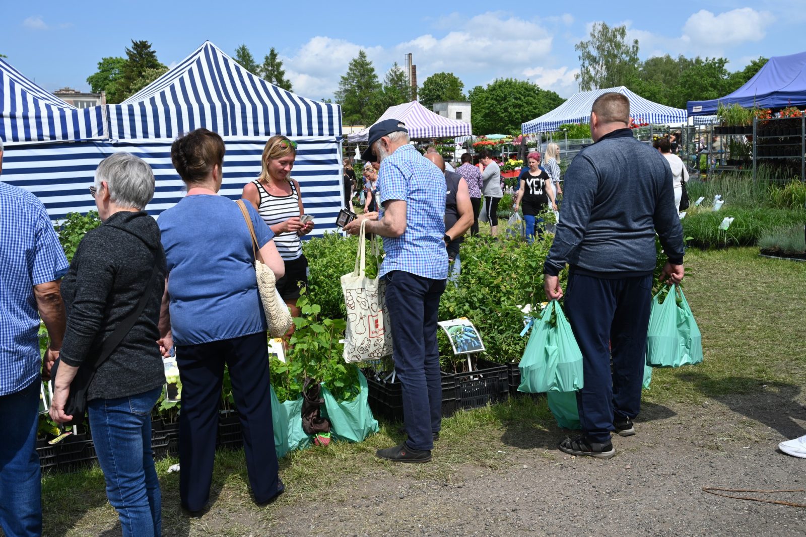 XXIX Pomorskie Agro-Targi w Lubaniu