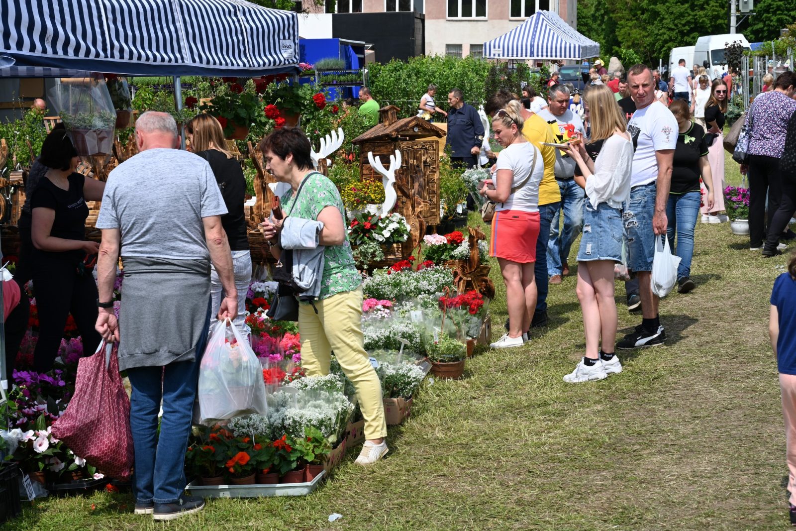 XXIX Pomorskie Agro-Targi w Lubaniu