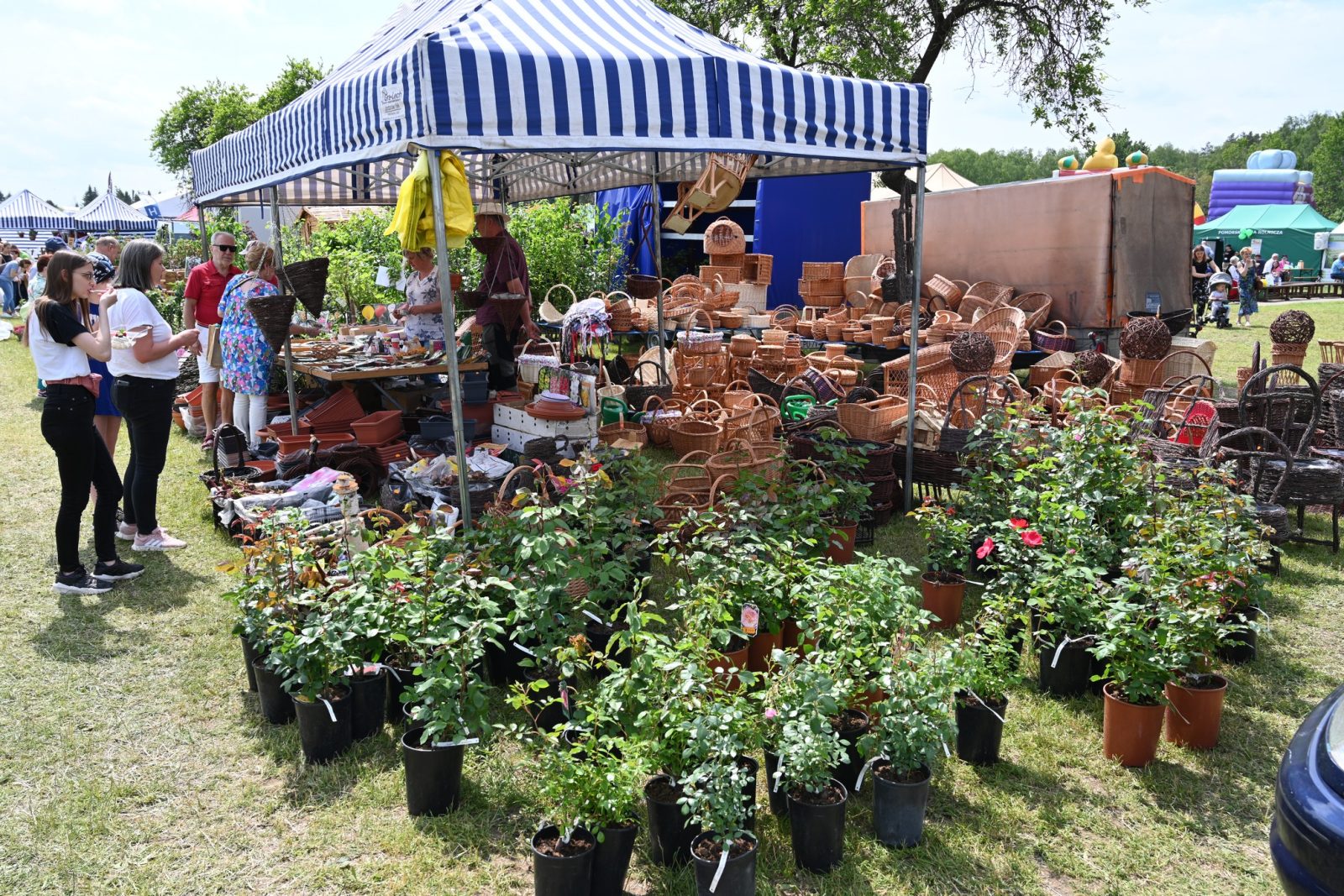 XXIX Pomorskie Agro-Targi w Lubaniu