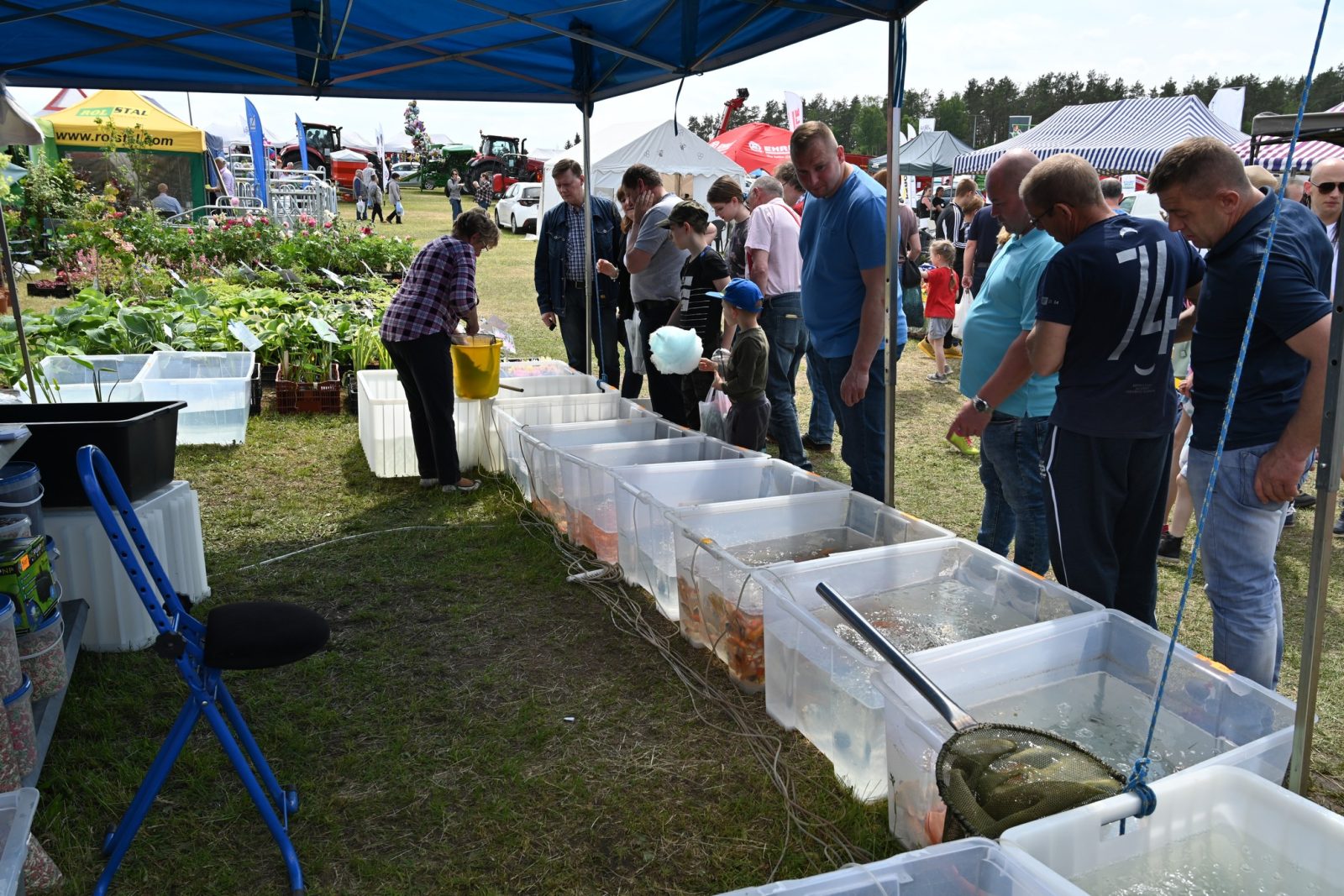 XXIX Pomorskie Agro-Targi w Lubaniu