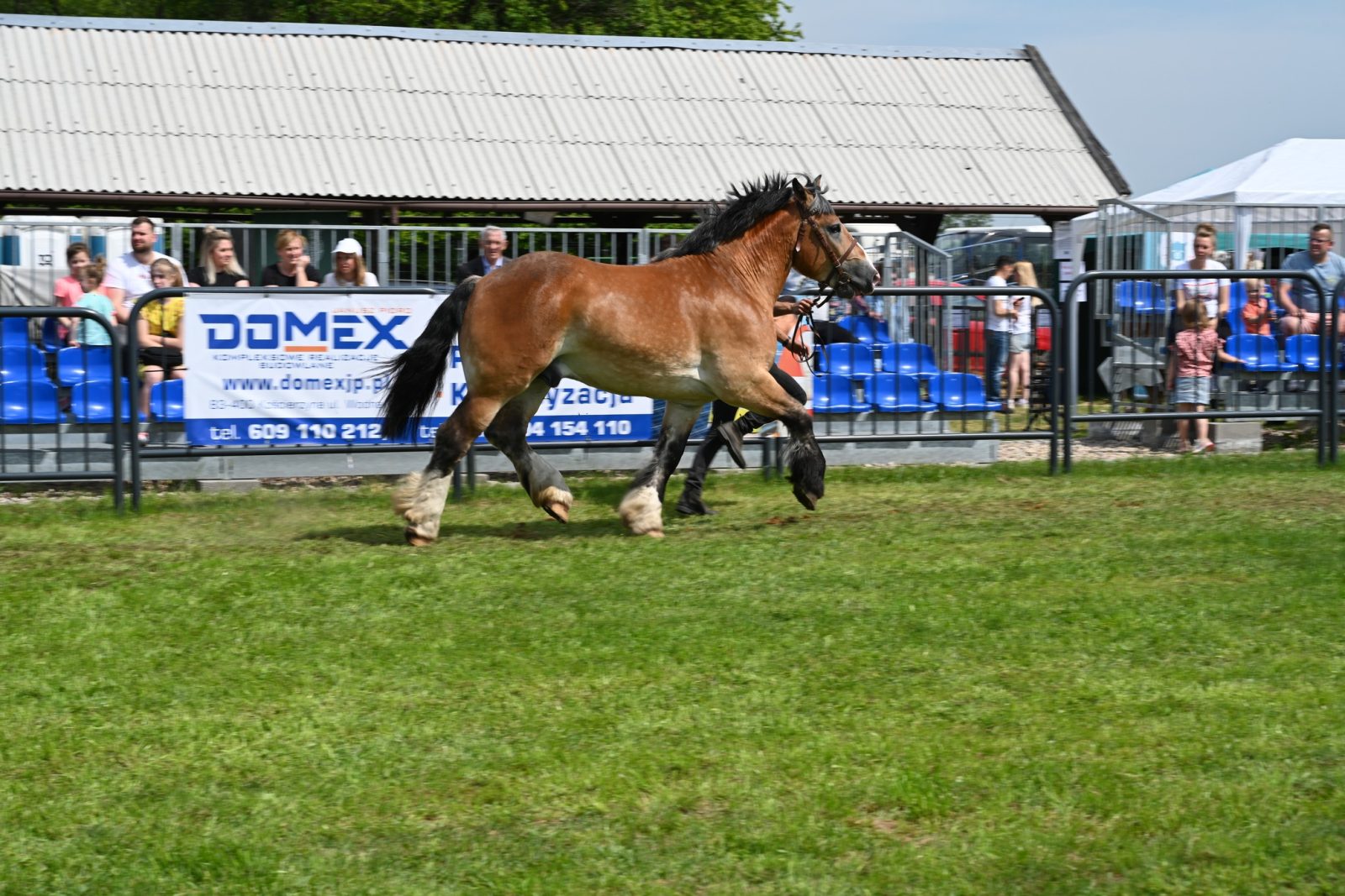 XXIX Pomorskie Agro-Targi w Lubaniu