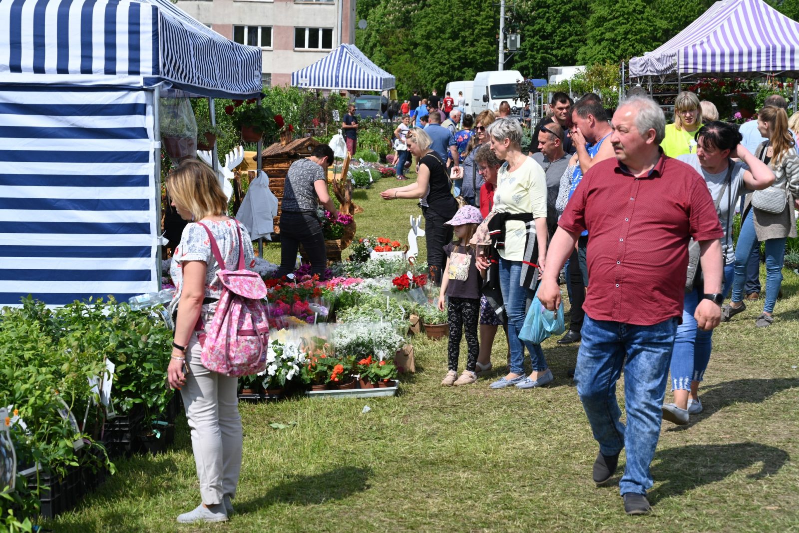 XXIX Pomorskie Agro-Targi w Lubaniu