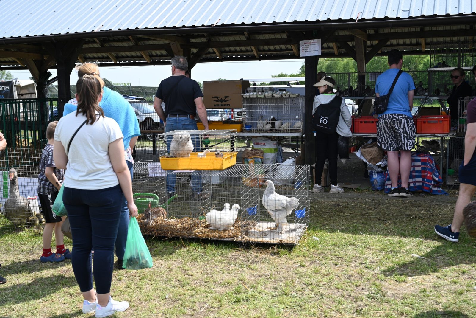 XXIX Pomorskie Agro-Targi w Lubaniu