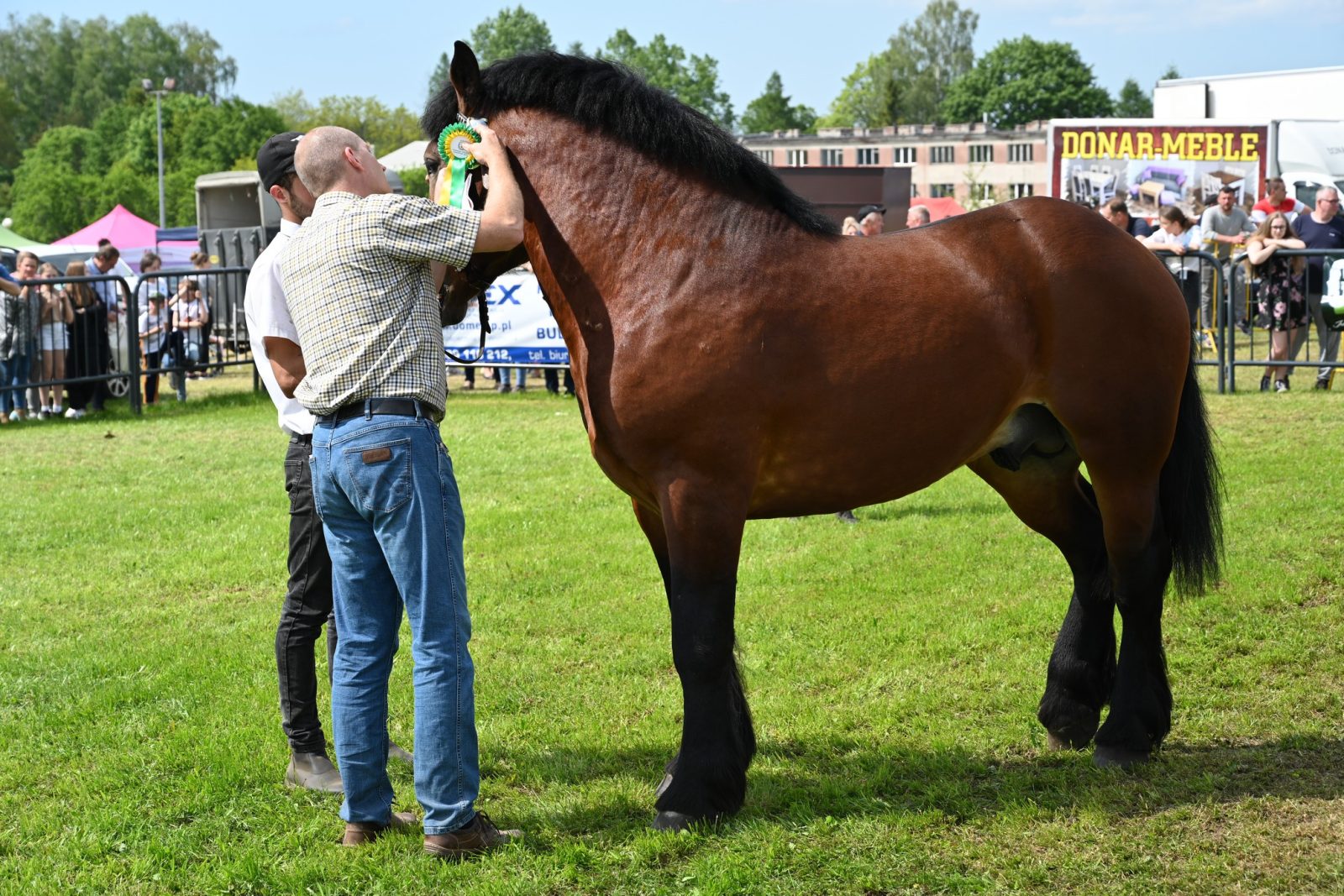 XXIX Pomorskie Agro-Targi w Lubaniu
