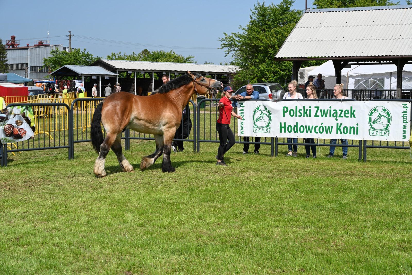XXIX Pomorskie Agro-Targi w Lubaniu