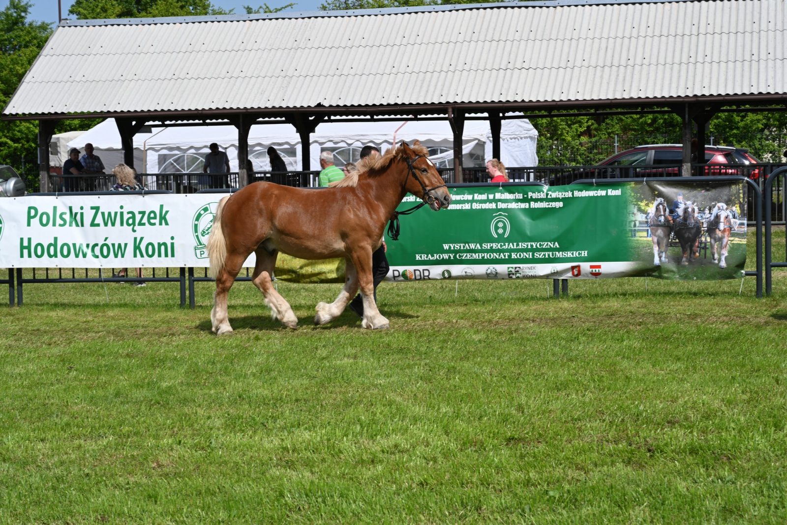 XXIX Pomorskie Agro-Targi w Lubaniu