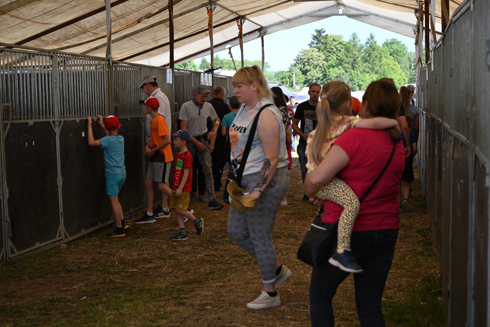 XXIX Pomorskie Agro-Targi w Lubaniu