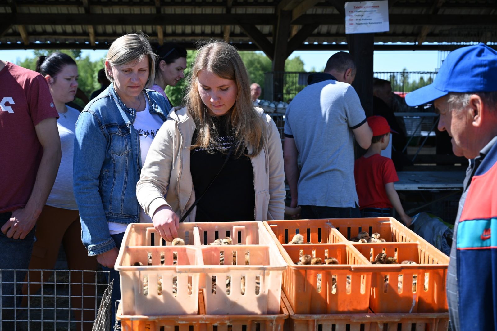 XXIX Pomorskie Agro-Targi w Lubaniu