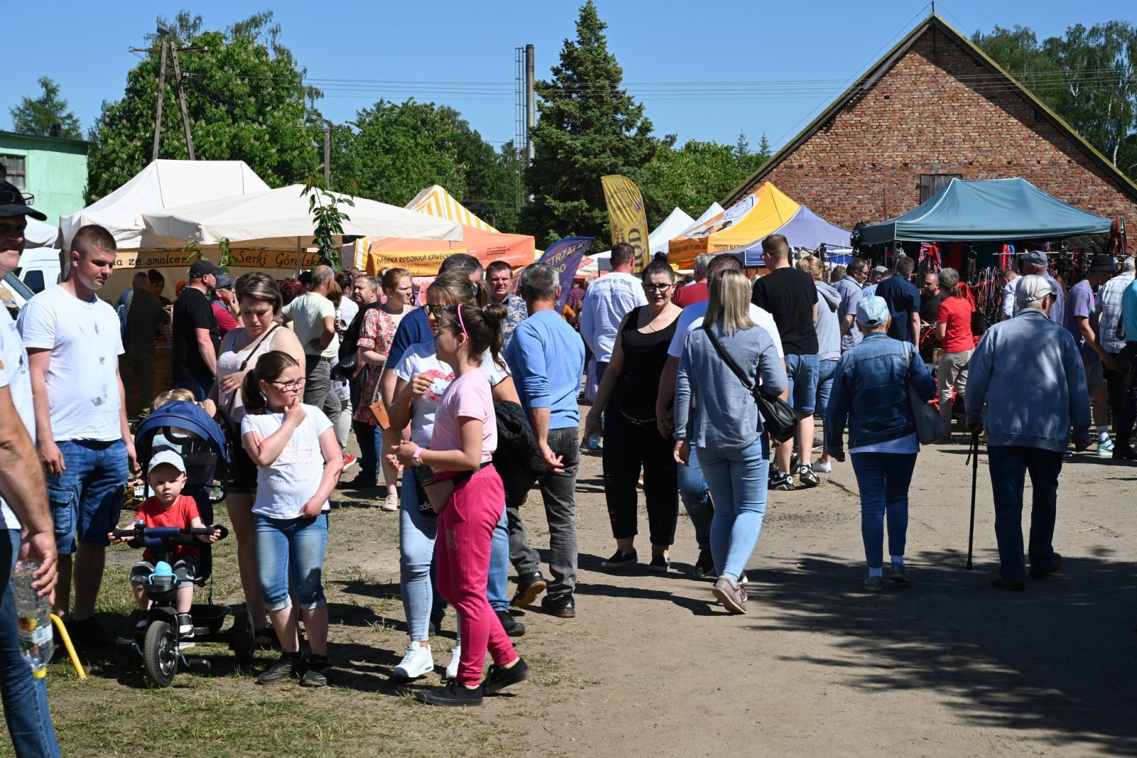 XXIX Pomorskie Agro-Targi w Lubaniu