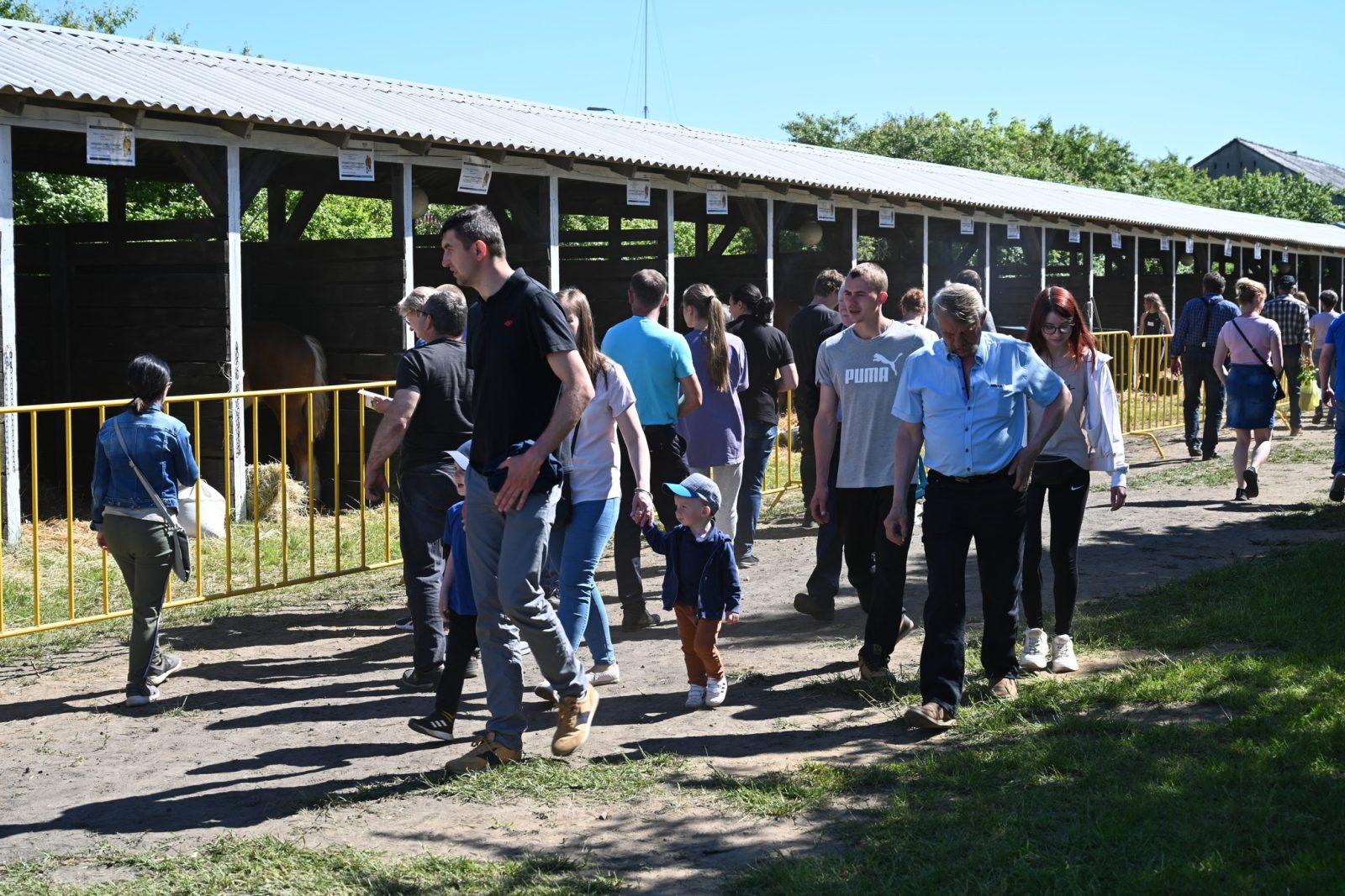 XXIX Pomorskie Agro-Targi w Lubaniu