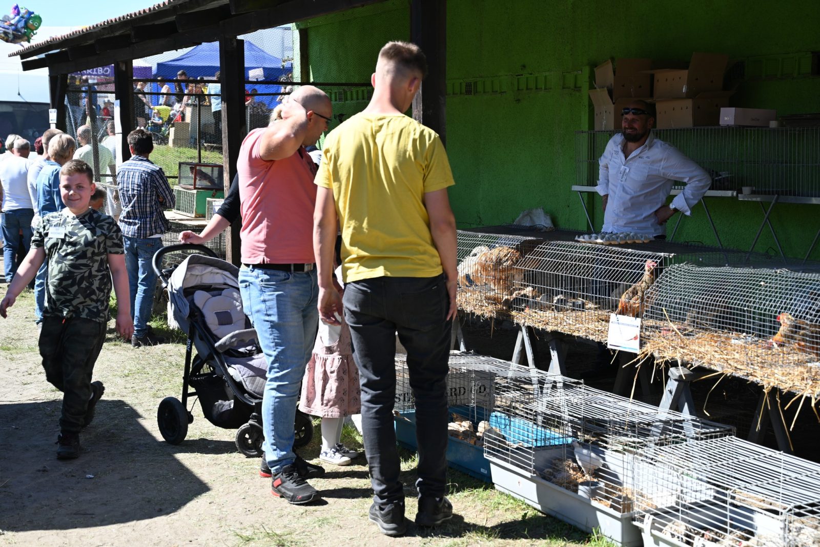 XXIX Pomorskie Agro-Targi w Lubaniu