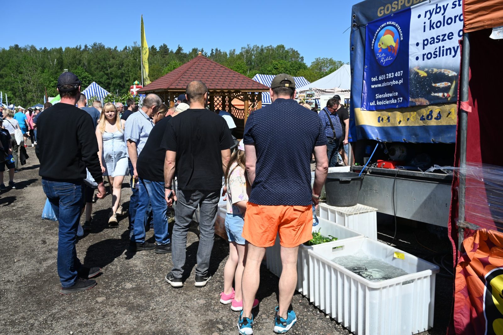XXIX Pomorskie Agro-Targi w Lubaniu