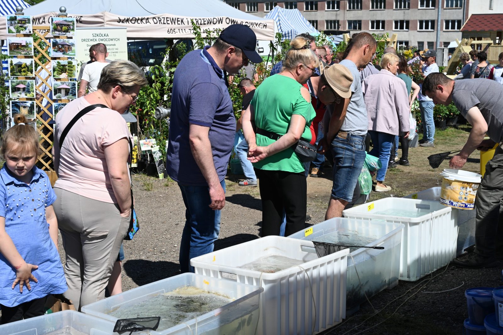XXIX Pomorskie Agro-Targi w Lubaniu