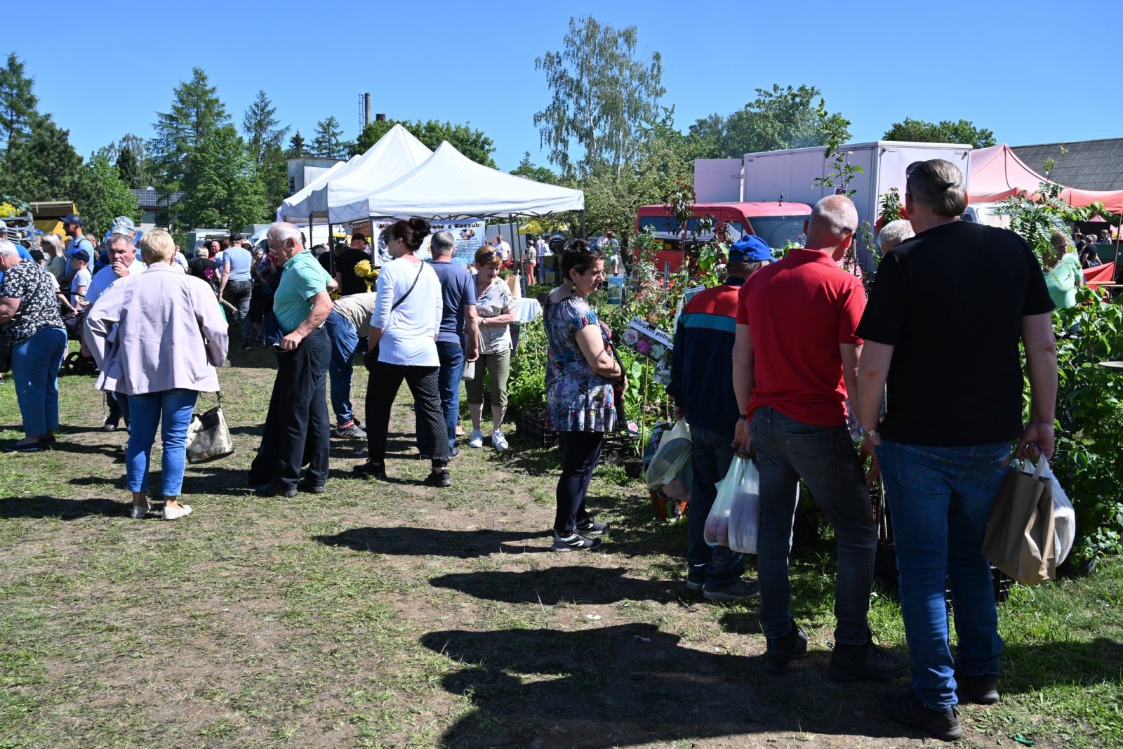 XXIX Pomorskie Agro-Targi w Lubaniu