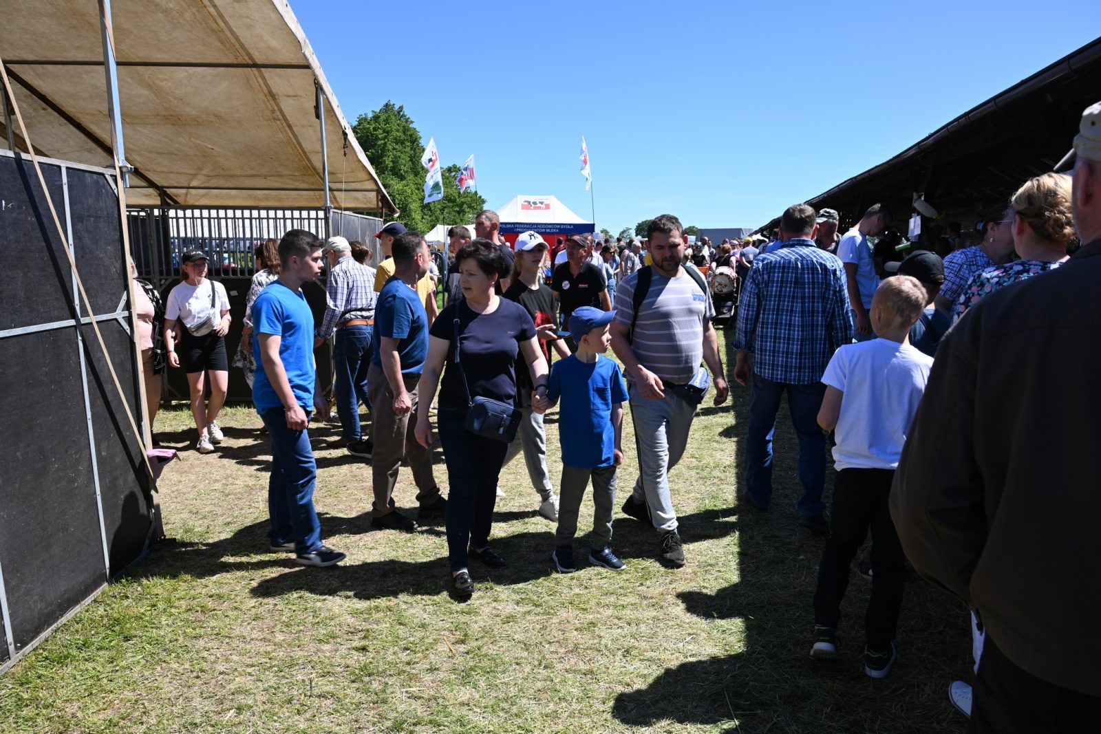 XXIX Pomorskie Agro-Targi w Lubaniu