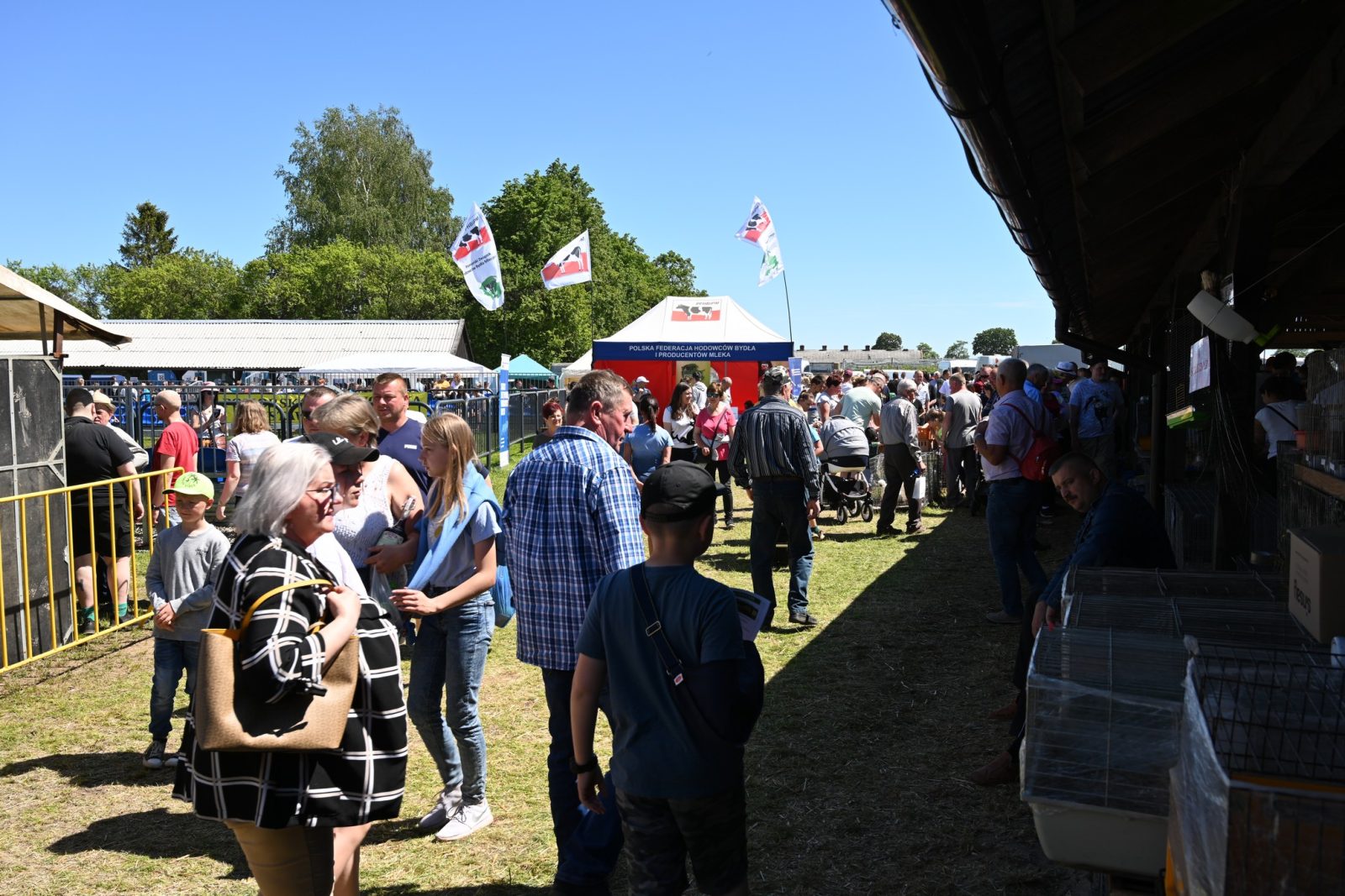 XXIX Pomorskie Agro-Targi w Lubaniu