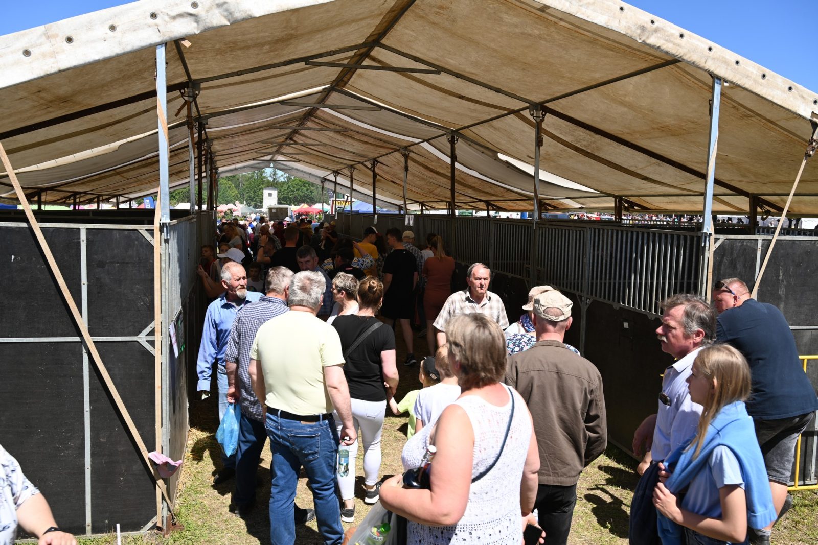 XXIX Pomorskie Agro-Targi w Lubaniu