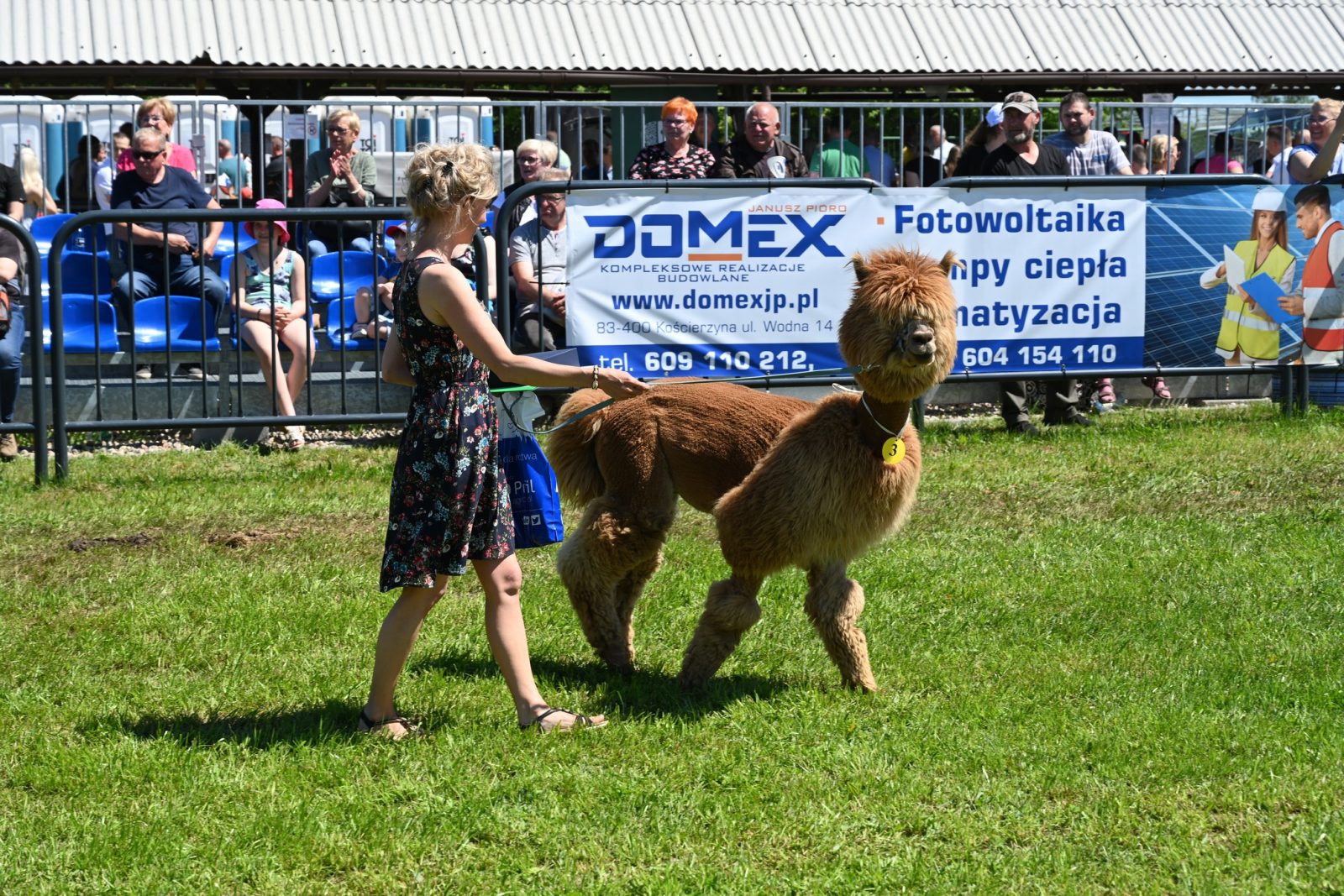 XXIX Pomorskie Agro-Targi w Lubaniu