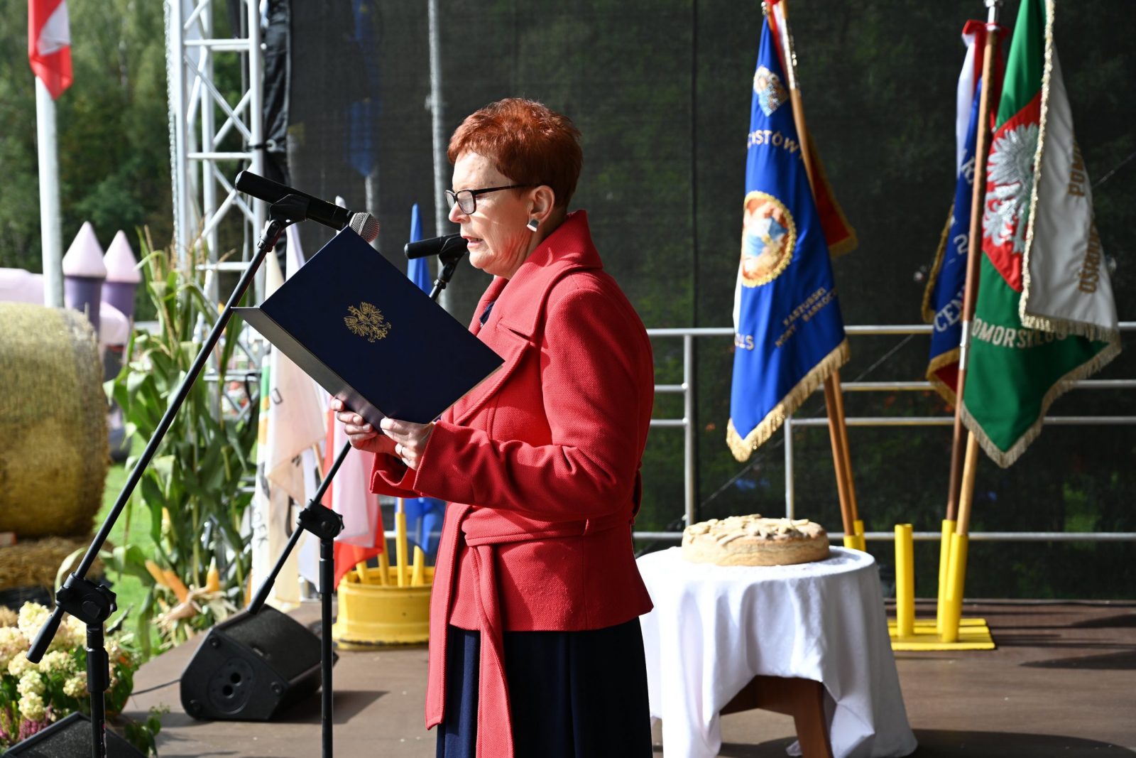 Dożynki