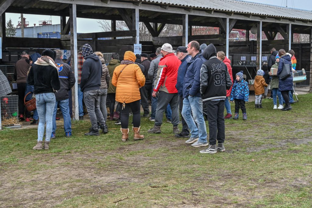 XIII Targi Ogrodniczo-Pszczelarskie