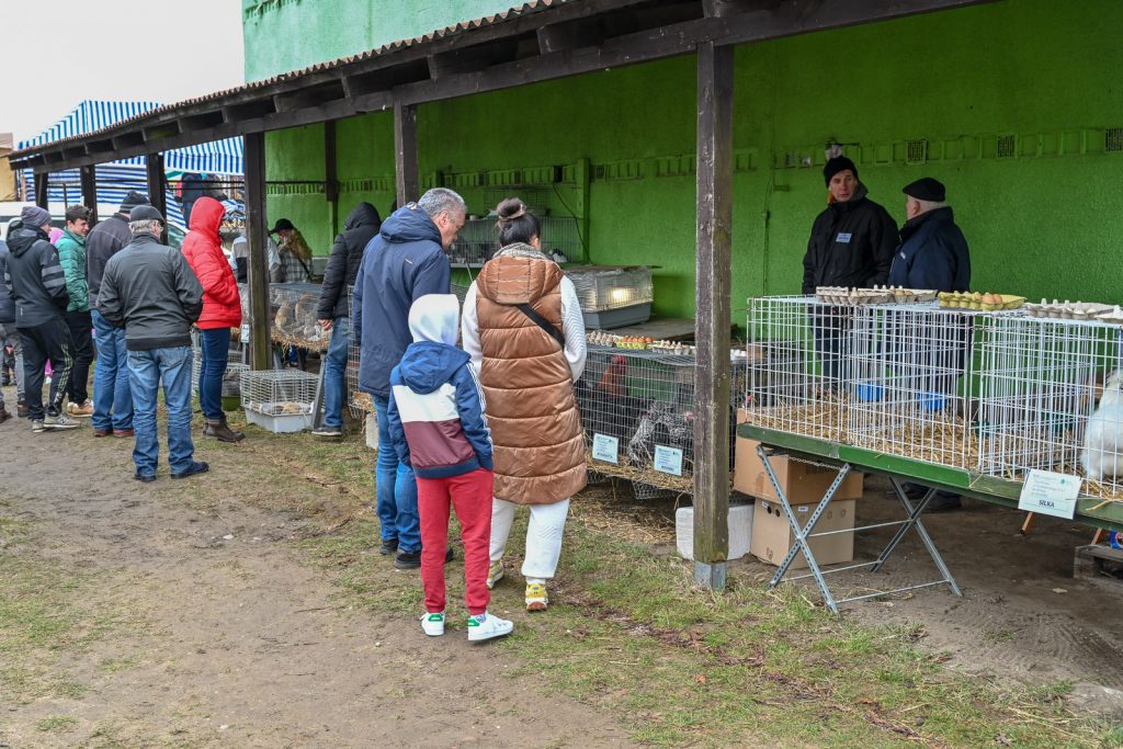 XIII Targi Ogrodniczo-Pszczelarskie