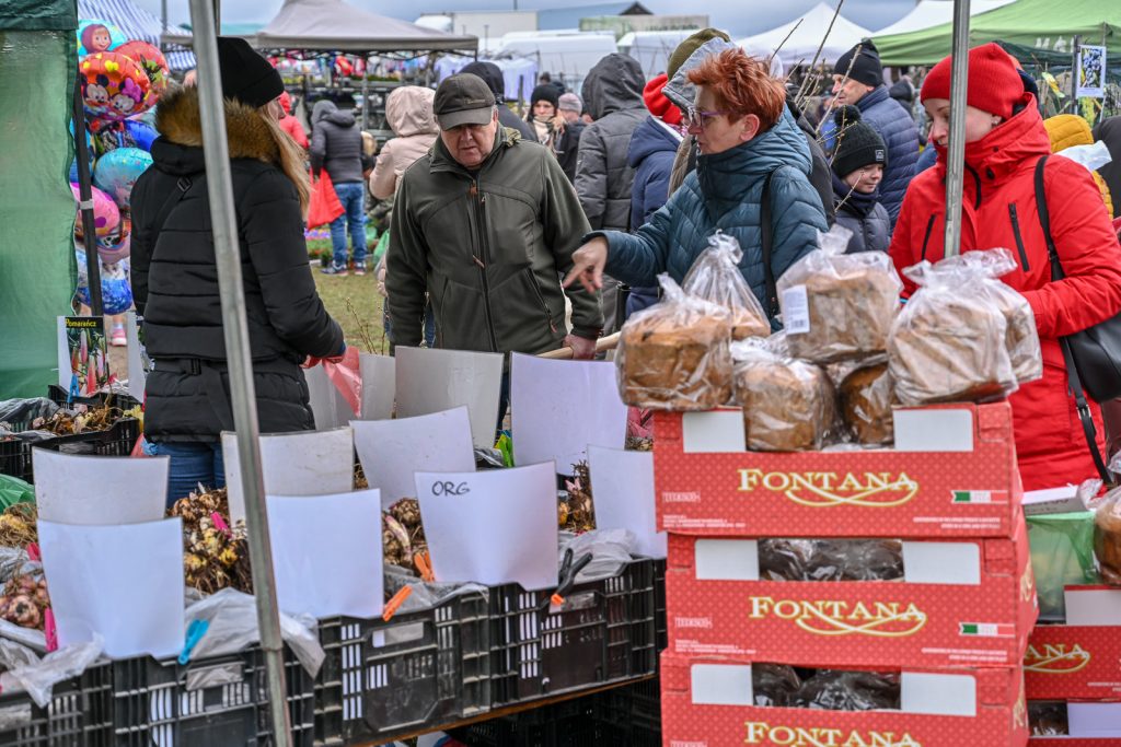 XIII Targi Ogrodniczo-Pszczelarskie