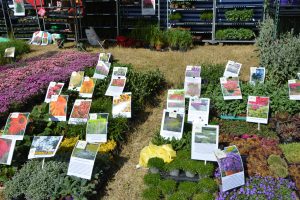 Trzydzieste Pomorskie Agro Targi w Lubaniu - Stoisko wystawowe (3)