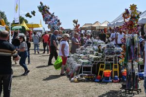 XXX Pomorskie Agro-Targi, Wystawa Zwierząt Hodowlanych w Lubaniu