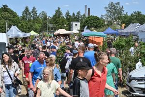 XXX Pomorskie Agro-Targi, Wystawa Zwierząt Hodowlanych w Lubaniu