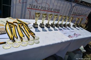 XXX Pomorskie Agro-Targi, Wystawa Zwierząt Hodowlanych w Lubaniu