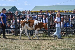 XXX Pomorskie Agro-Targi, Wystawa Zwierząt Hodowlanych w Lubaniu