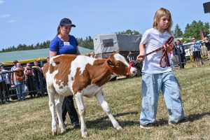 XXX Pomorskie Agro-Targi, Wystawa Zwierząt Hodowlanych w Lubaniu