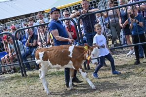 XXX Pomorskie Agro-Targi, Wystawa Zwierząt Hodowlanych w Lubaniu