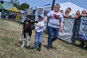 XXX Pomorskie Agro-Targi, Wystawa Zwierząt Hodowlanych w Lubaniu